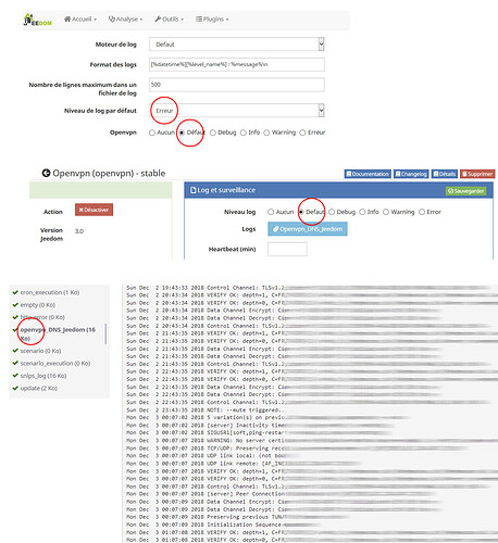 openvpn