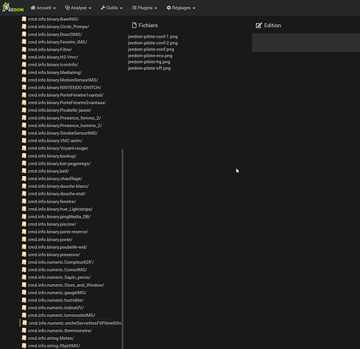 2020-02-24%2017_04_13-Editor%20-%20Jeedom
