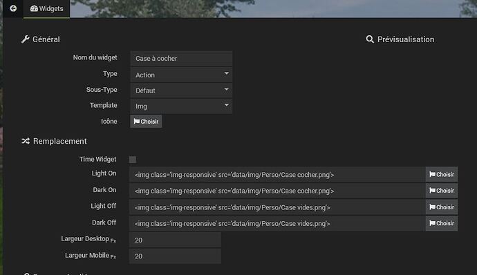 Création option case dans widget