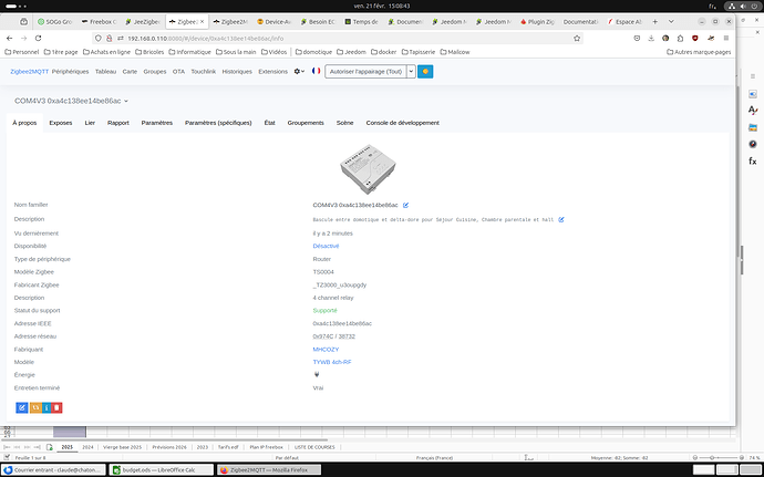 Capture d’écran du 2025-02-21 15-08-48