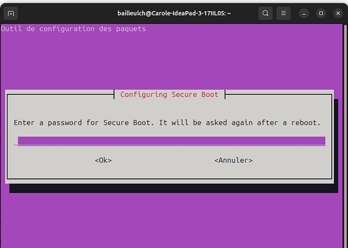 Secure Boot configuring : Saisie mot de passe