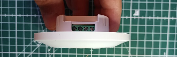 IMG_20250726_094942_521