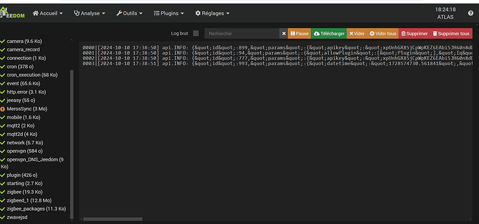 Capture d’écran 2024-10-11 182453