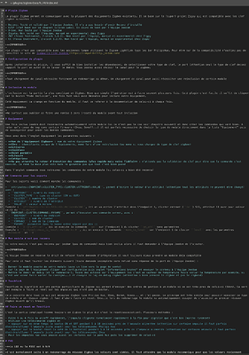Capture d’écran 2021-01-01 à 07.51.19