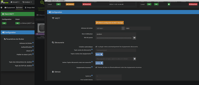 2024-11 Config mqtt discovery