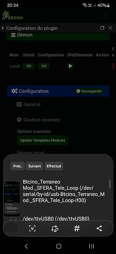 Screenshot_20240809_203433_Samsung Internet