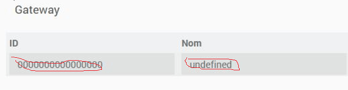 deconz-gateway-undefined