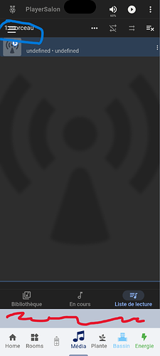 Screenshot (13 juin 2024 08_58_59)