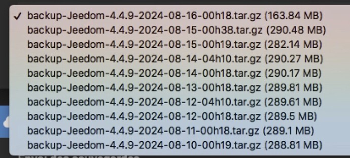 Capture d’écran 2024-08-18 à 01.31.41