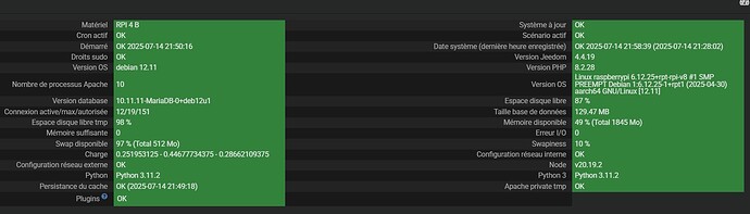 Capture d’écran 2025-07-14 215859