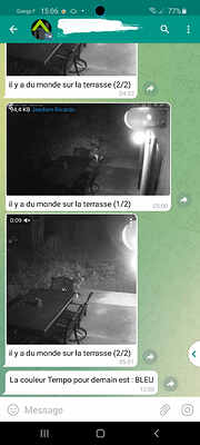 Screenshot_20211115-150654_Plus