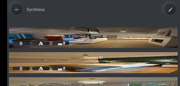 Screenshot_2021-03-12-10-03-52-730_com.scalz.JeeMate