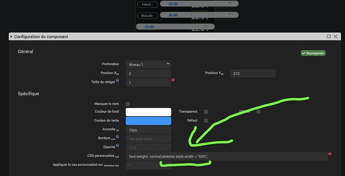 Capture d’écran 2024-09-01 à 00.37.00