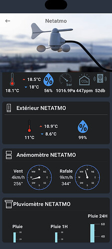 Screenshot (13 juin 2024 07_59_06)