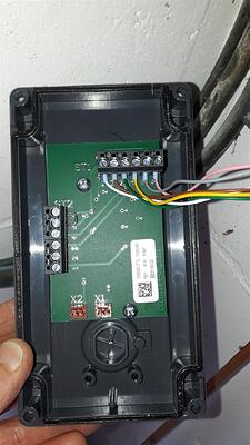 20200419_172059 (Medium)