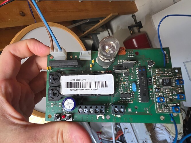 17421192444742119805181498911299