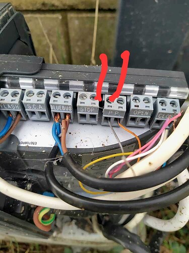 512b38260e1e79baf349661870e53f7b1d0e6d2f_2_750x1000