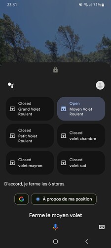 Screenshot_20250311_233145_Google