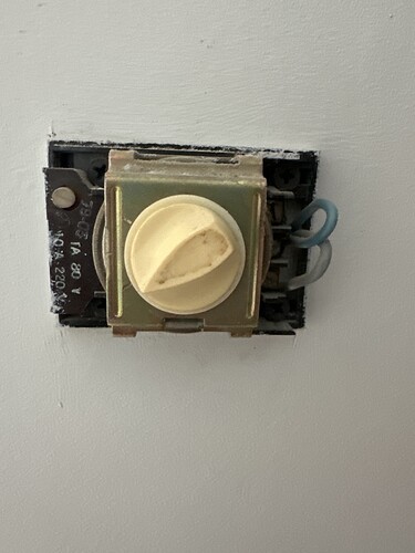 IMG_F080D1E1-1E63-4881-9DEF-84C165B6DF71