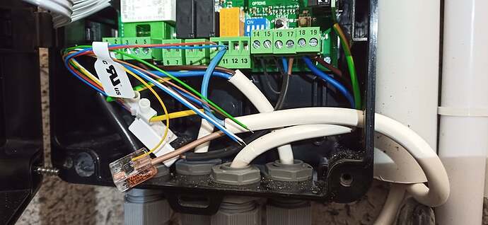 271736033_449978716621531_4221529509700132906_n