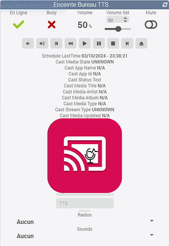 Capture_widget_ttscast