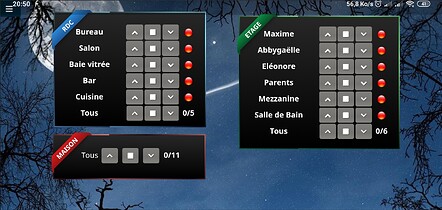 Screenshot_2020-04-01-20-50-17-380_de.ozerov.fully