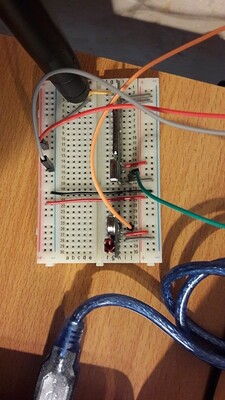 20200503_165521 (450x800)