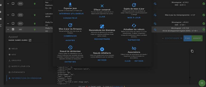 09 ZWAVEJS UI