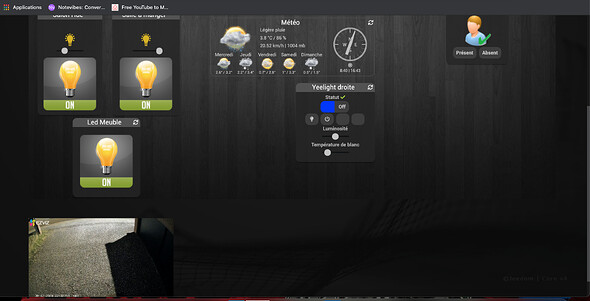 Capture d’écran 2020-12-30 à 22.33.19