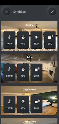 Screenshot_2021-03-12-10-03-45-181_com.scalz.JeeMate