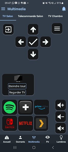 Screenshot_20230717_094757_Jeedom Connect