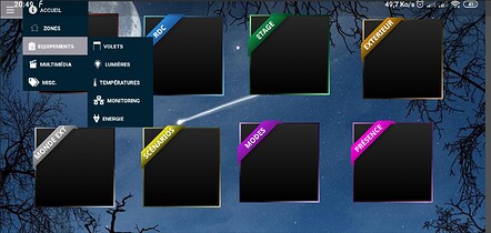 Screenshot_2020-04-01-20-49-48-478_de.ozerov.fully