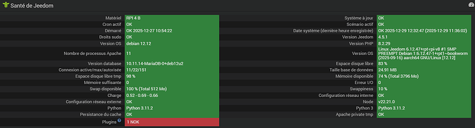 Capture d'écran 2025-12-29 123618