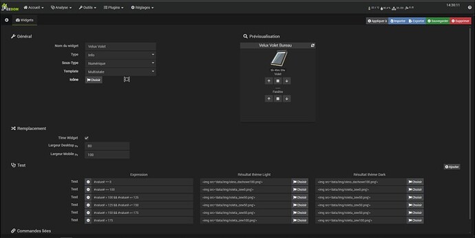 Config Widget