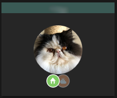 pet_widget