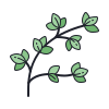 icons8-thyme-100