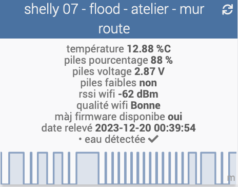 shelly flood