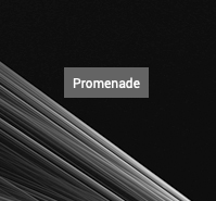 Capture d’écran 2020-11-27 à 19.48.00