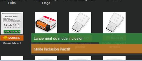 inclusion