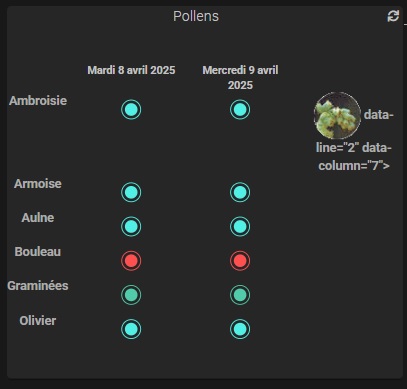 POLLENS1