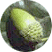 chene