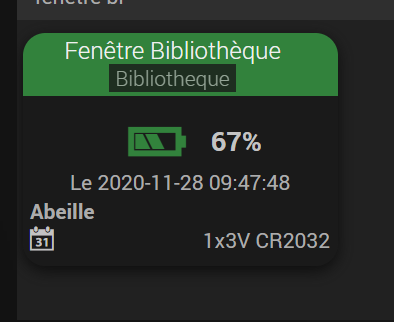 Capture d’écran 2020-11-28 110200